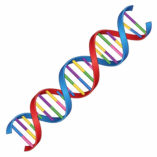 DNA SIG